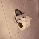 Rakoczi 3*