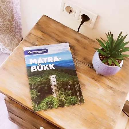 Guest house Rakoczi Miskolc